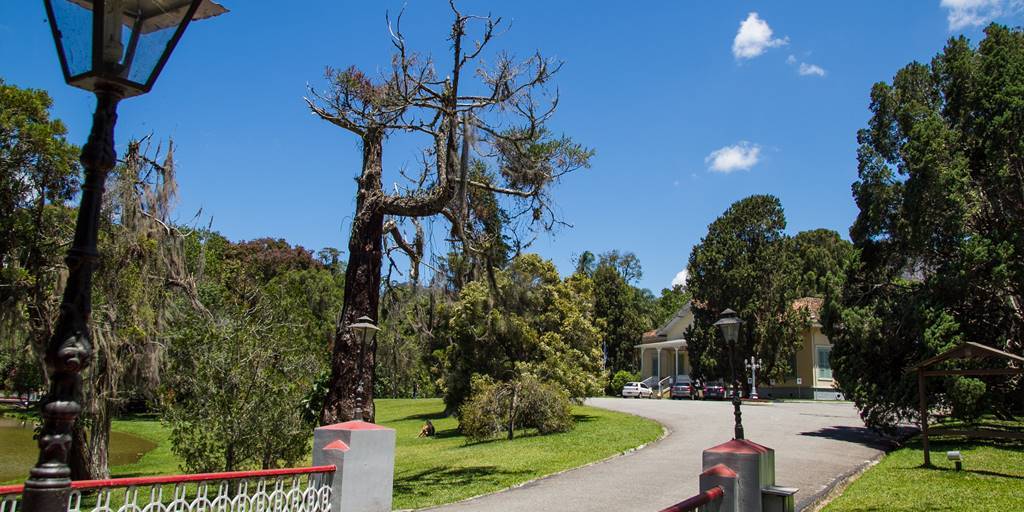 Um guia completo para quem deseja começar a caminhar em Nova Friburgo