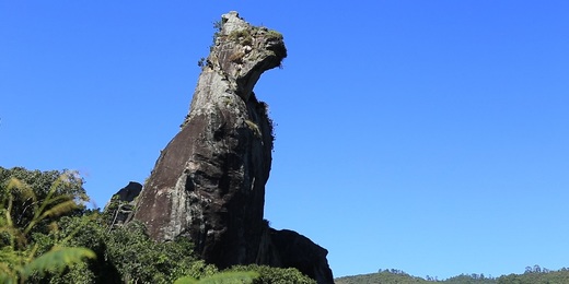 Saiba de que maneira ocorre o retorno das atividades turísticas em Nova Friburgo