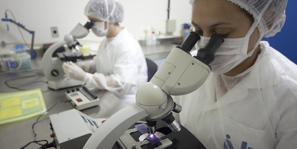 Pesquisadores realizam estudos com engenharia genética