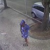 Vídeo flagra momento em que pessoa escreve frase homofóbica na fachada da Câmara de Cabo Frio