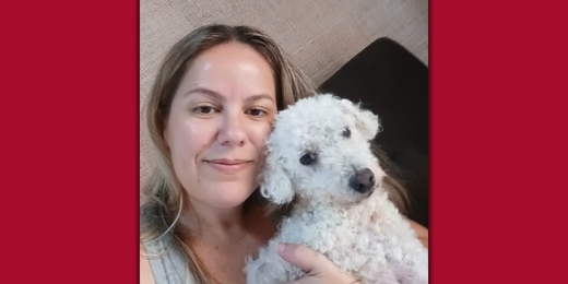 Poodle desaparecida há 15 dias reaparece na porta da casa da família em Arraial do Cabo