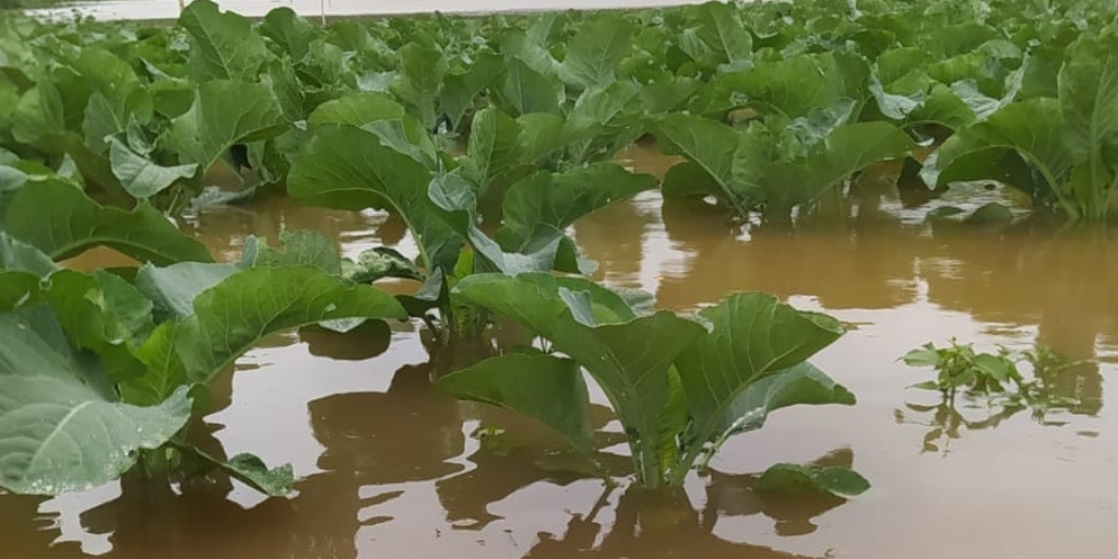 O solo encharcado atrasa o retorno dos trabalhos do produtor rural