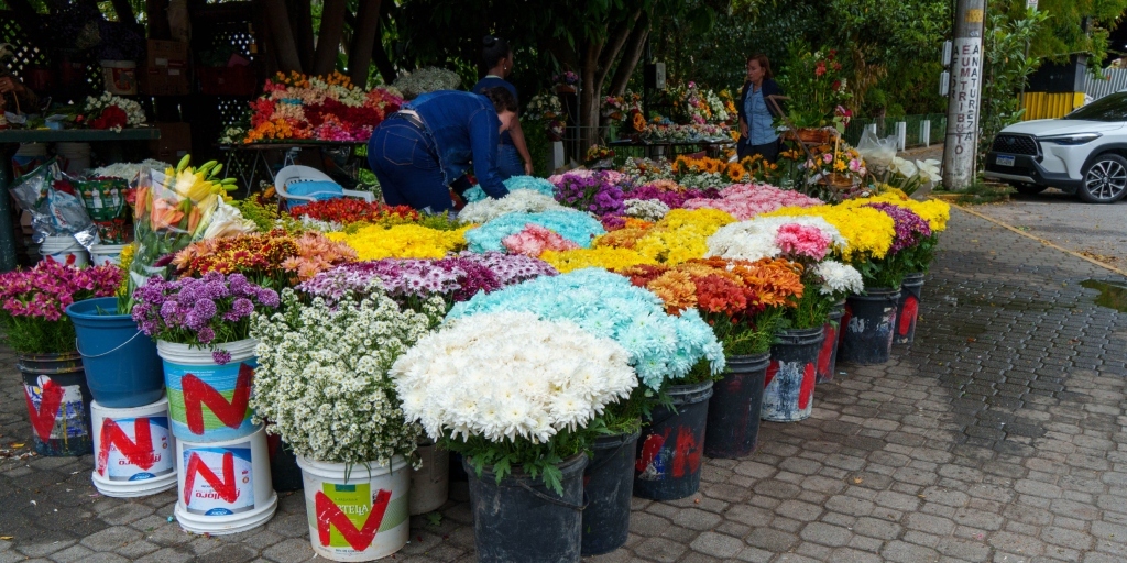 Algumas pessoas já se anteciparam na compra de flores para homenagear seus entes queridos
