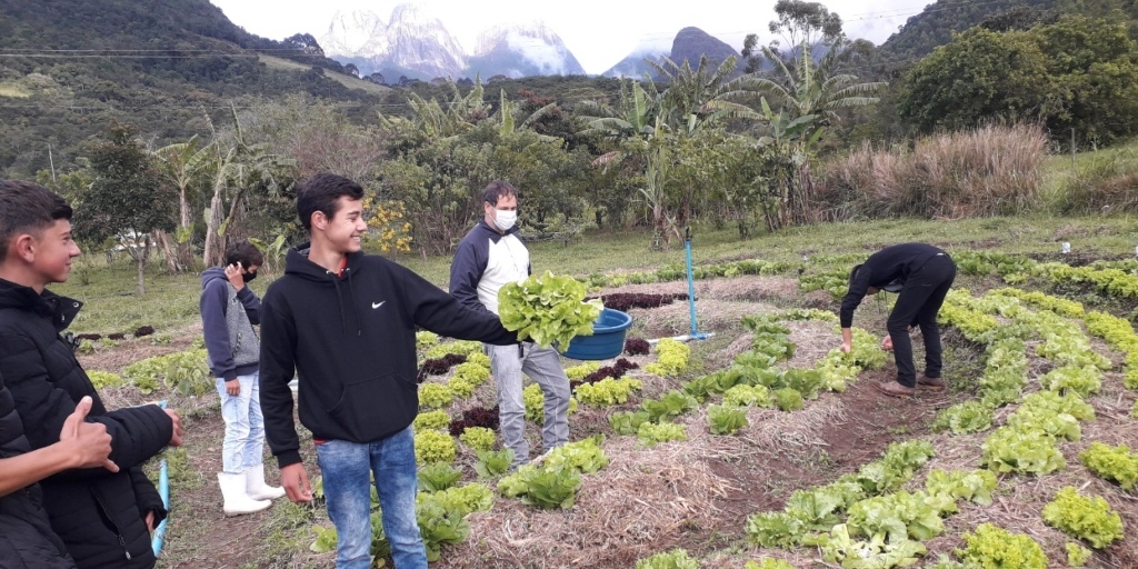 Professores de Friburgo ganham prêmio com projetos agroecológicos e criam cartilha