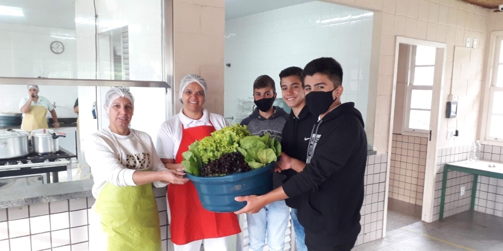 Alunos colhem na horta em mandala alfaces para o almoço