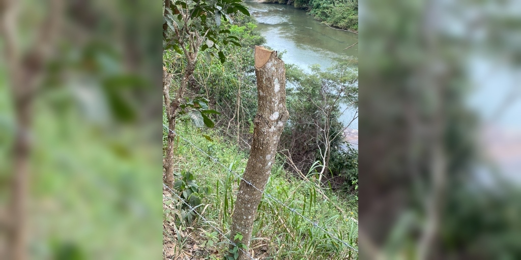 Polícia Ambiental encontra desmatamento dentro de fazenda em São Sebastião do Alto