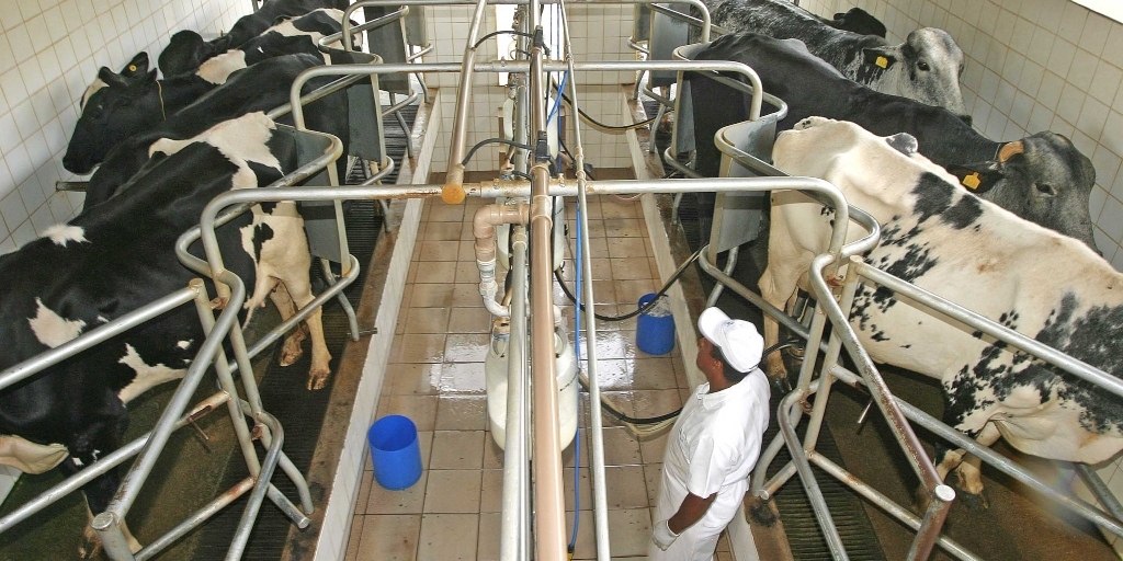 Linhas de crédito são abertas a produtores de leite para impulsionar agropecuária no RJ