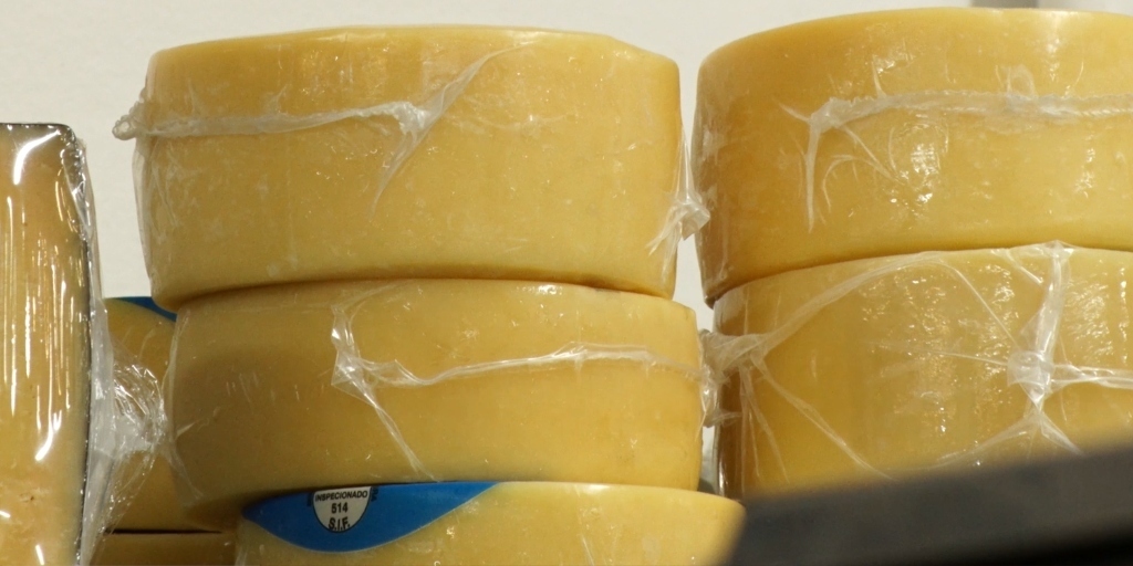 Queijo é um dos produtos que vão sofrer reajuste por causa da alta do leite 