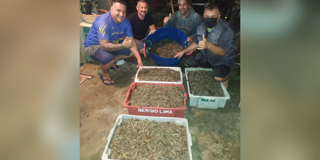 Pescadores capturam grande quantidade de camarão na Lagoa de Araruama