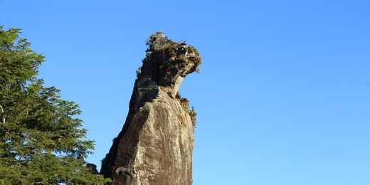 Nova Friburgo é escolhida o melhor destino turístico do estado do Rio de Janeiro