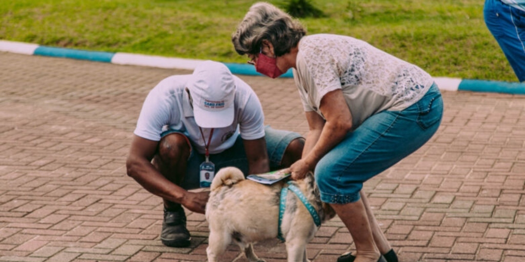 Caso o animal tenha comportamento agressivo, é obrigatório o uso de focinheira