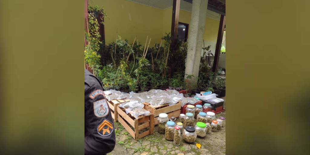 Homem é detido com 312 pés de maconha e material para produção da droga em Friburgo