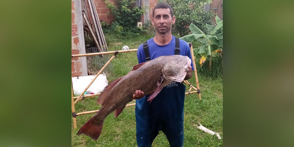 Pescador captura perumbeba de 22 kg na Região dos Lagos