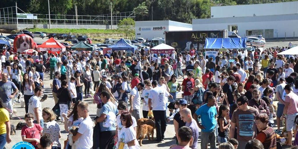 Um dia de diversão para os cães! 4ª Cãominhada acontece neste domingo