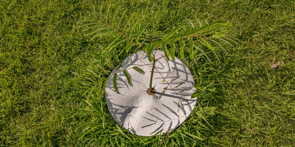 Natureza é vista como mestra, e biólogos são os novos inventores