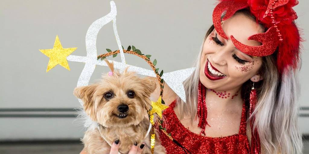 Nova Friburgo: inscrições abertas para o concurso de cães fantasiados no Carnaval