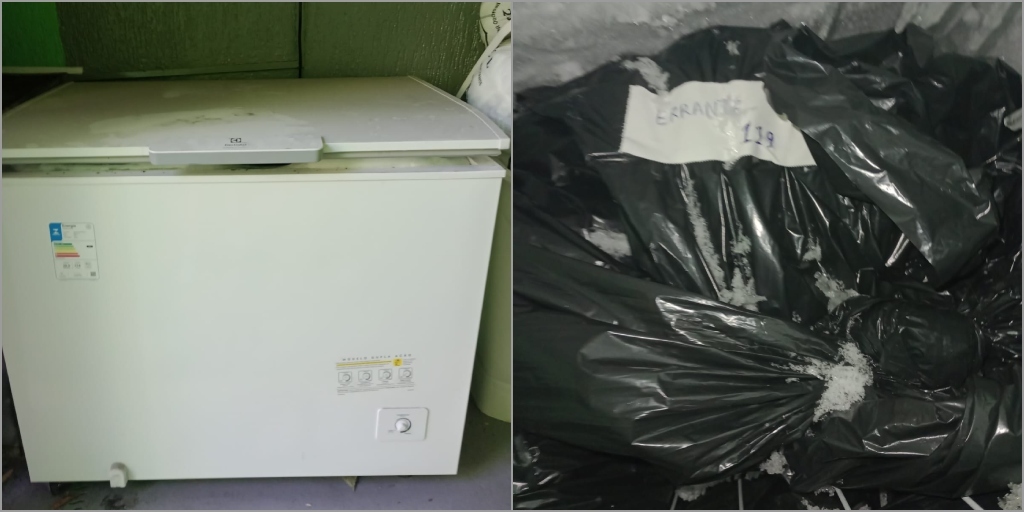 Imagens mostram freezer que estaria com corpos de animais armazenados em sacos