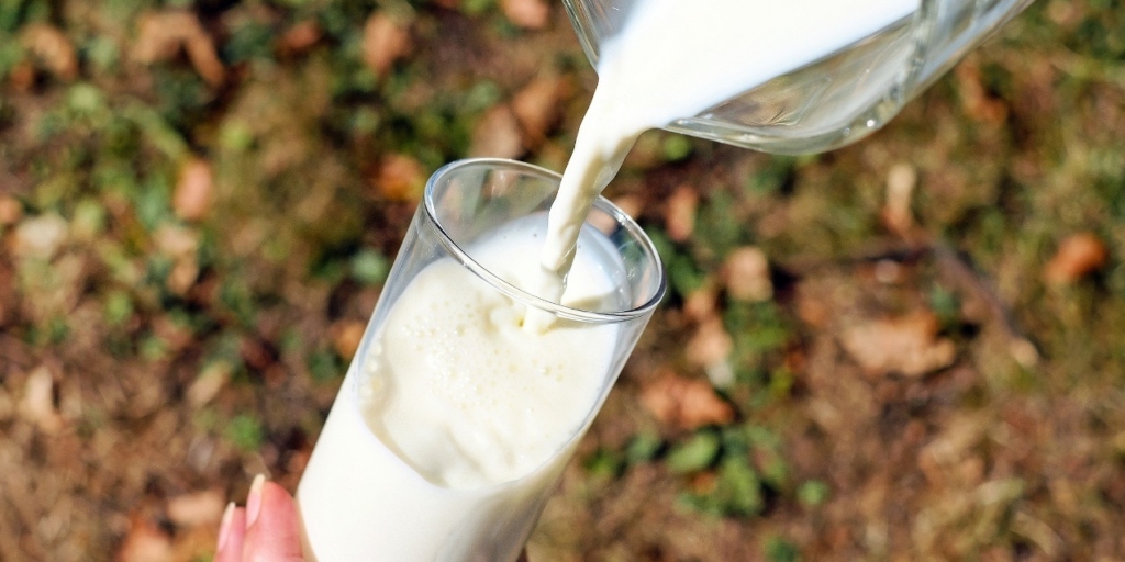 Estado do Rio amplia financiamento a produtores de leite; veja como aderir