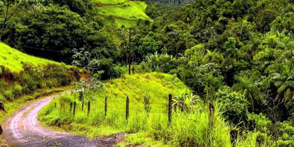 Projeto de monitoramento ambiental via satélite é retomado no estado do Rio