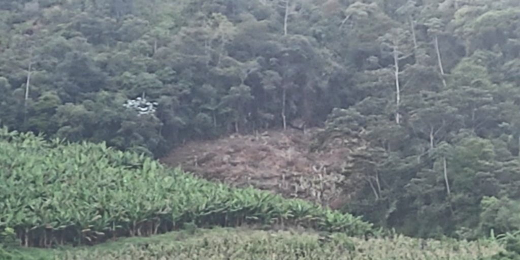 Desmatamento em área de preservação é encontrado na estrada Mury-Lumiar