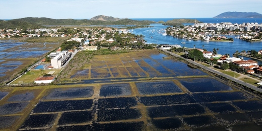 MP determina prazo de 7 dias para que Inea e prefeitura vistoriem obra em mangue de Cabo Frio