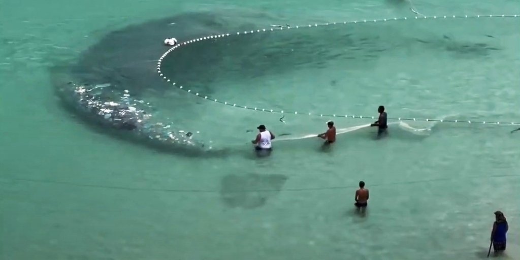 Pescadores de Arraial do Cabo resgatam grande quantidade de lixo na Praia Grande; veja o vídeo