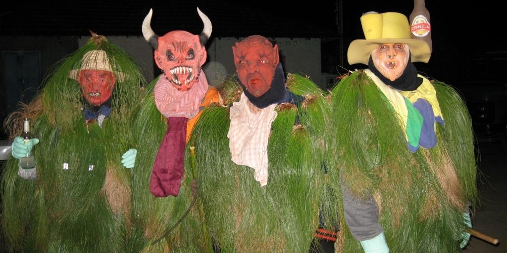 Foliões se vestem de folhas e flores no 'Carnaval da moita' em localidade de Nova Friburgo