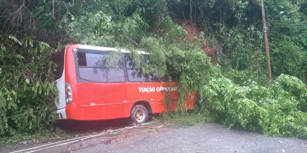 Ônibus estava estacionado e sem passageiros no momento em que foi atingido