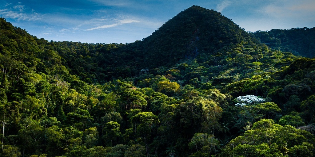 Estado do Rio de Janeiro chega à 100ª Reserva Particular do Patrimônio Natural