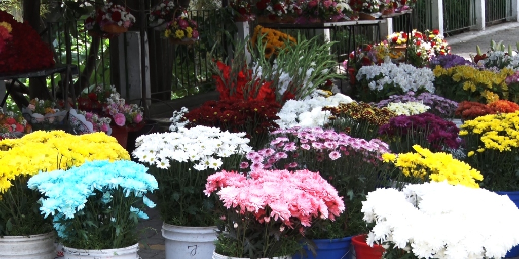 Finados é a terceira grande data de comercialização de flores