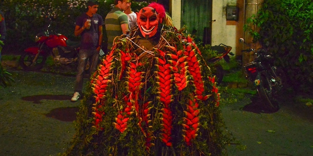 Moradores também usam flores na produção das fantasias