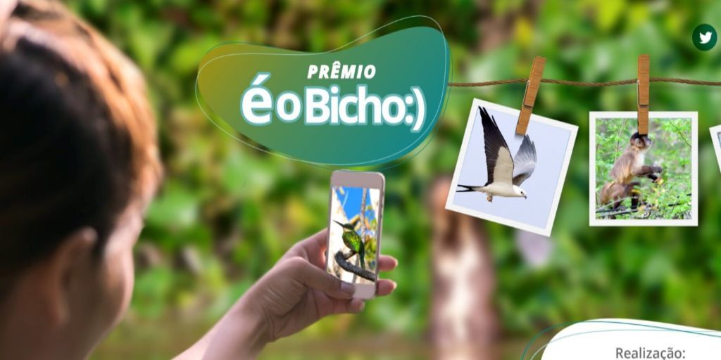 Concurso virtual É o Bicho quer reconectar a natureza com a população brasileira