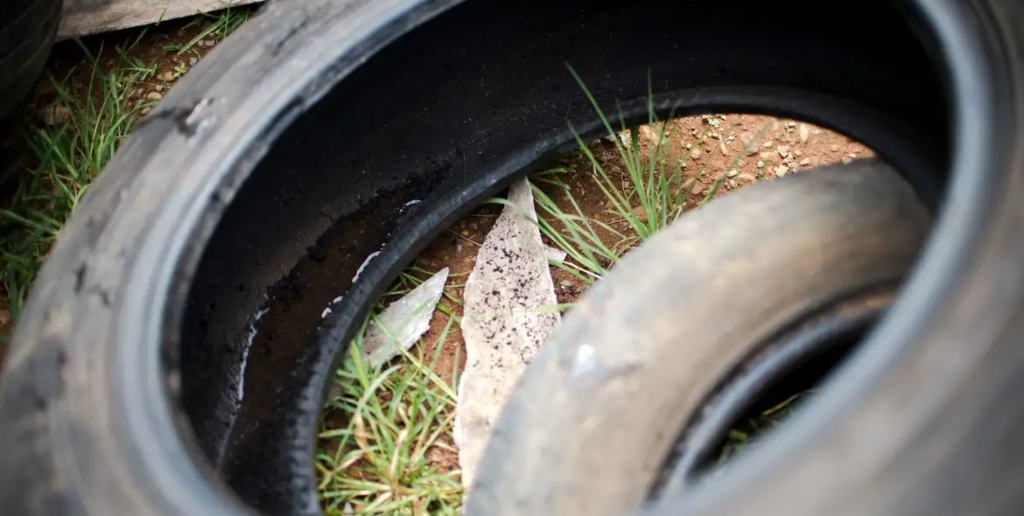 Pneus descartados a céu aberto acumulam água da chuva e podem ser criadouro do mosquito da dengue