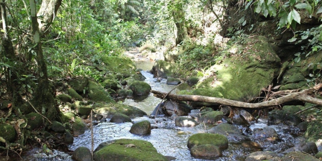 Nova Friburgo é recordista em número de Reservas Particulares do Patrimônio Natural