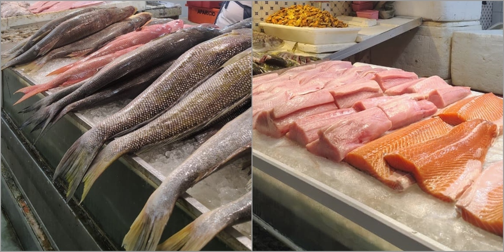 Vigilância Sanitária do Rio alerta para cuidados na compra de pescados para a Semana Santa
