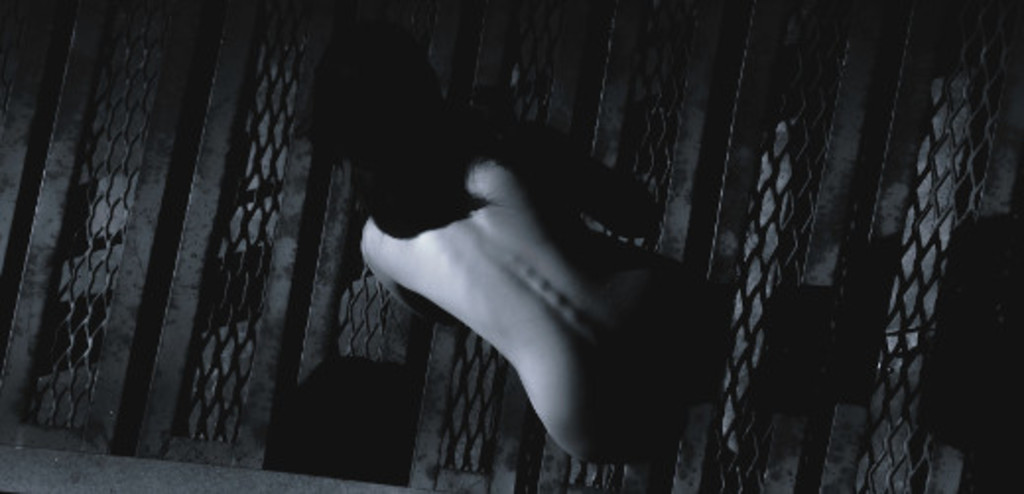 As trans, os trans, o gênero e a sexualidade: e viva a diferença!