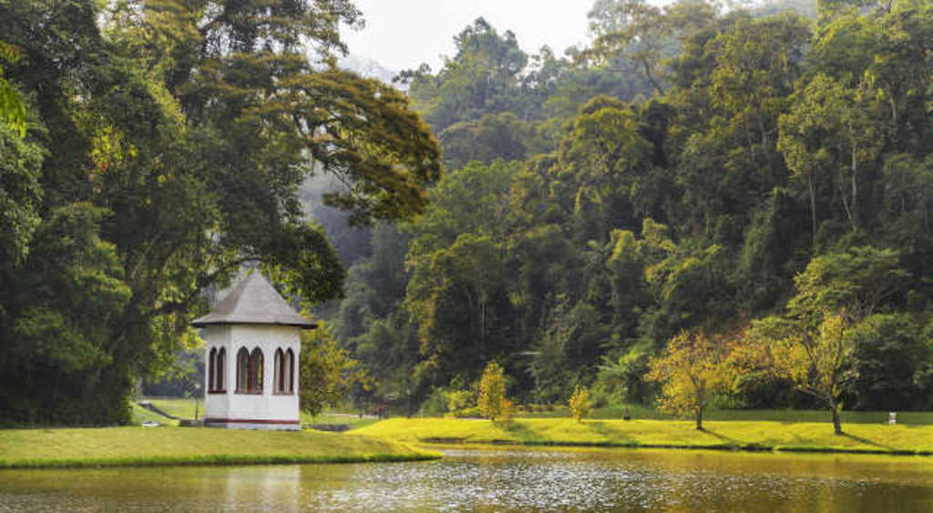 Dia de piquenique: conheça 3 lugares incríveis em Nova Friburgo